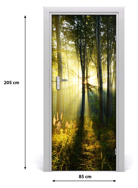 Fototapeta samolepiace na dvere les príroda 85x205 cm