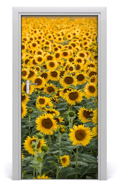Fototapeta samolepiace dvere pole slnečníkov 95x205 cm