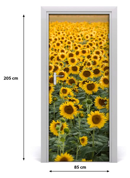 Fototapeta samolepiace dvere pole slnečníkov 85x205 cm