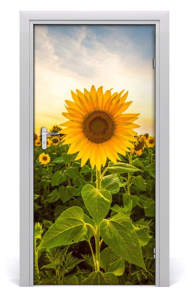 Fototapeta samolepiace dvere pole slnečníkov 95x205 cm