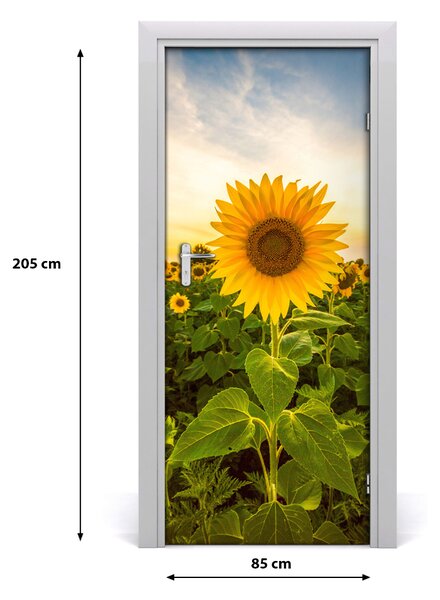 Fototapeta samolepiace dvere pole slnečníkov 85x205 cm