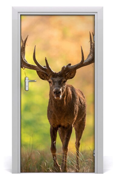 Fototapeta samolepiace na dvere jeleň v lese 95x205 cm