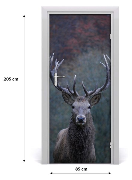 Fototapeta samolepiace na dvere jeleň príroda 85x205 cm