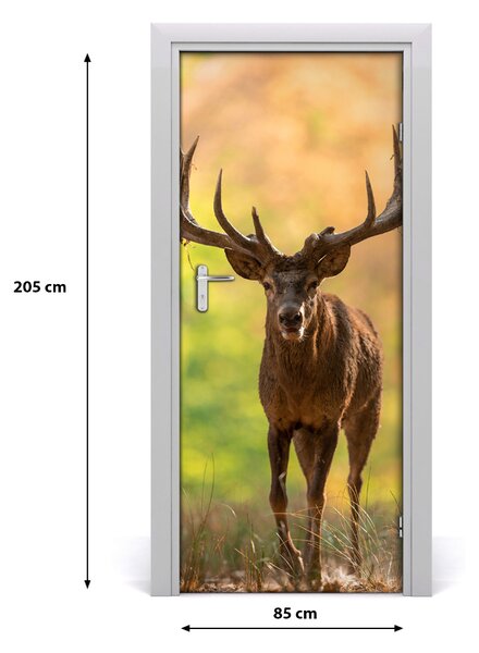 Fototapeta samolepiace na dvere jeleň v lese 85x205 cm