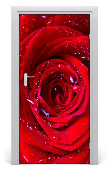 Samolepiace fototapety na dvere červená ruža 95x205 cm