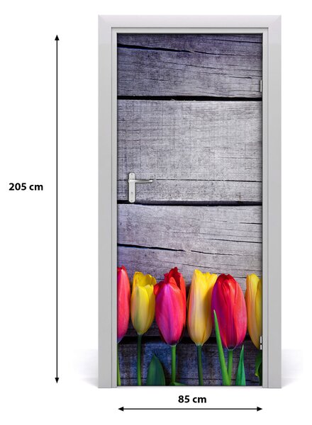 Samolepiace fototapety na dvere farebné tulipány 85x205 cm