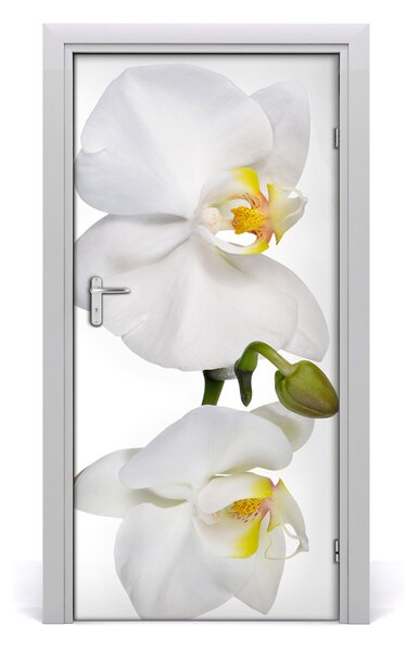 Samolepiace fototapety na dvere biela orchidea 95x205 cm
