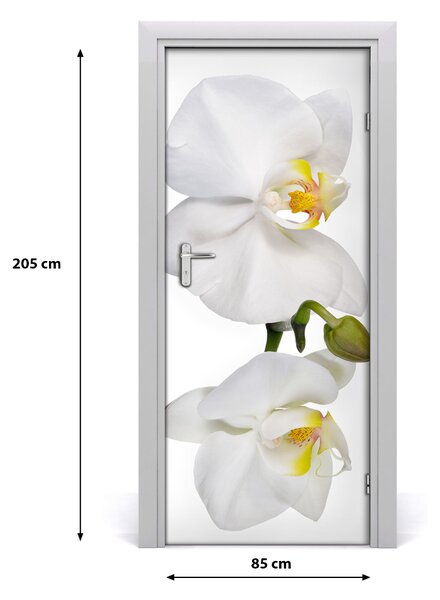 Samolepiace fototapety na dvere biela orchidea 85x205 cm