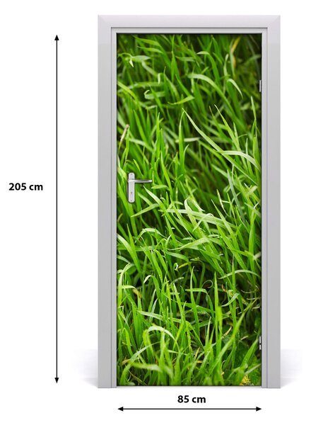 Samolepiace fototapety na dvere tráva 85x205 cm