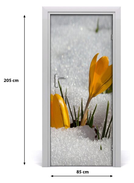 Samolepiace fototapety na dvere žlté krókusy 85x205 cm