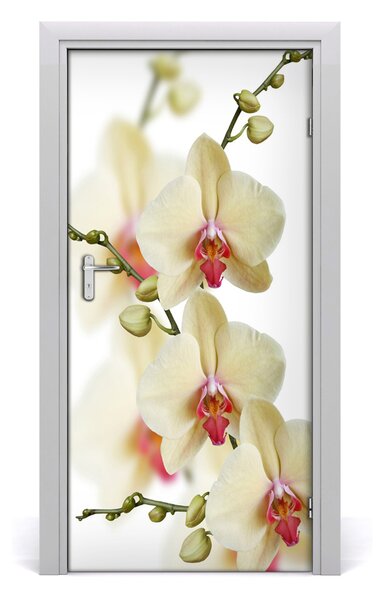 Samolepiace fototapety na dvere orchidea 95x205 cm