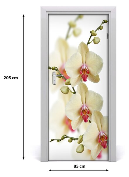 Samolepiace fototapety na dvere orchidea 85x205 cm