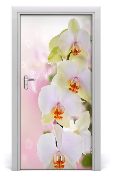 Samolepiace fototapety na dvere biela orchidea 95x205 cm