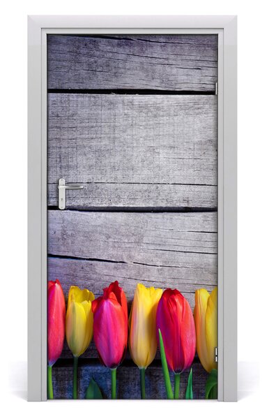 Samolepiace fototapety na dvere farebné tulipány 95x205 cm