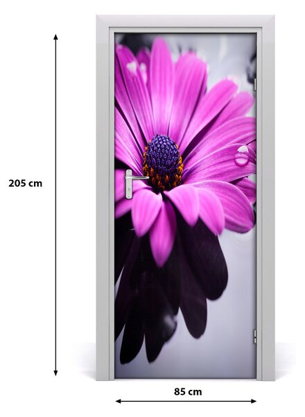 Samolepiace fototapety na dvere ružová gerbera 85x205 cm