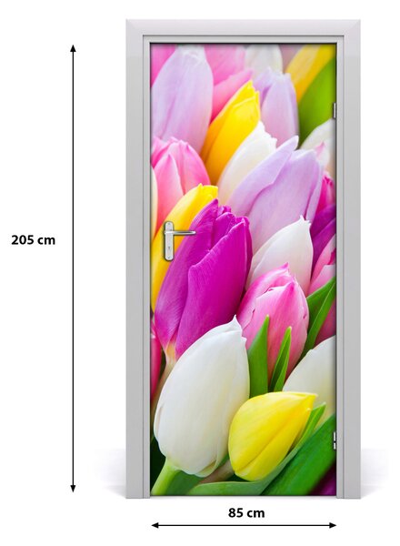 Samolepiace fototapety na dvere farebné tulipány 85x205 cm