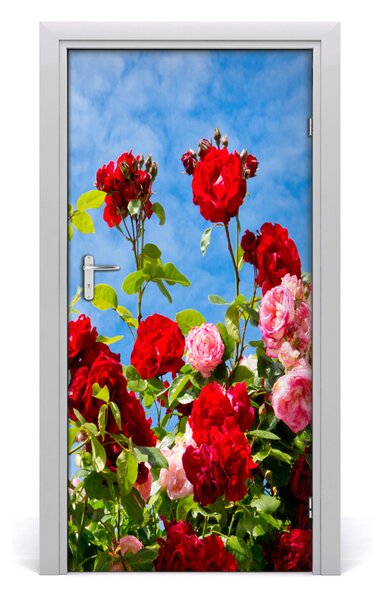 Samolepiace fototapety na dvere divoká ruža 95x205 cm