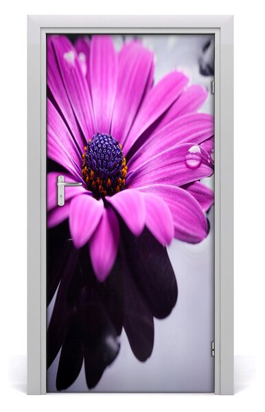 Samolepiace fototapety na dvere ružová gerbera 95x205 cm