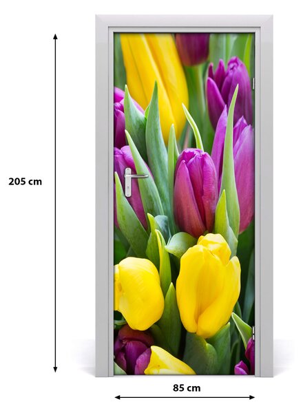 Samolepiace fototapety na dvere farebné tulipány 85x205 cm