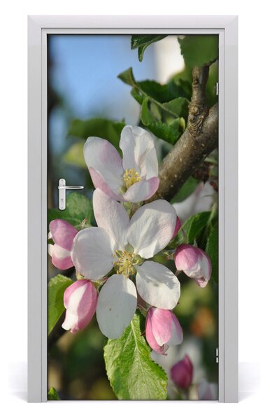 Samolepiace fototapety na dvere kvety višne 95x205 cm