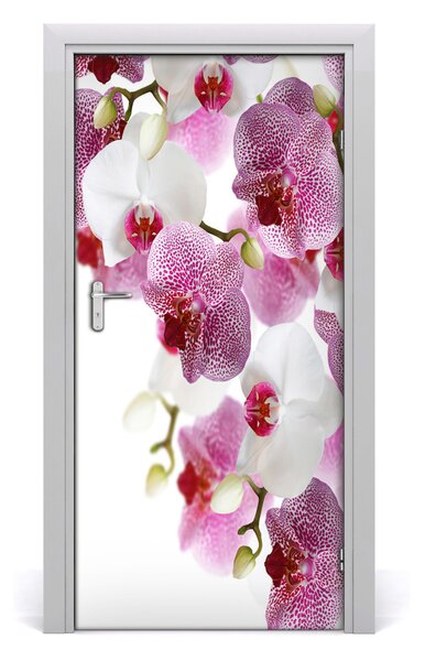 Fototapeta na dvere orchidea 95x205 cm