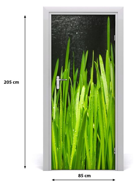 Fototapeta na dvere tráva 85x205 cm