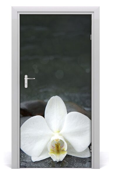 Fototapeta na dvere orchidea 95x205 cm