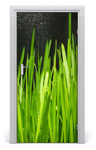 Fototapeta na dvere tráva 95x205 cm
