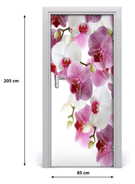 Fototapeta na dvere orchidea 85x205 cm