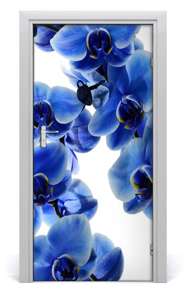 Fototapeta na dvere kvet orchidey 95x205 cm