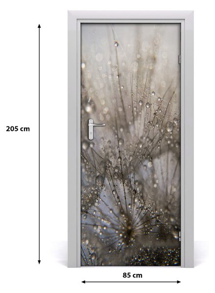 Fototapeta na dvere púpava 85x205 cm
