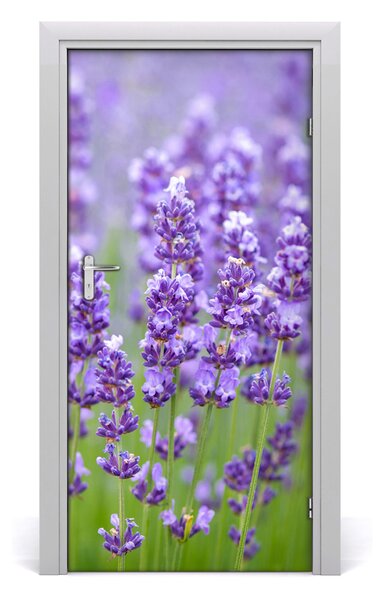 Fototapeta na dvere levanduľa polia 95x205 cm