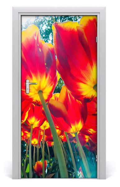 Fototapeta na dvere tulipány 95x205 cm