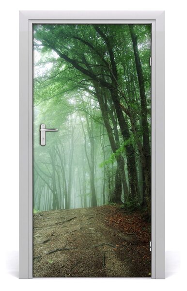 Fototapeta na dvere samolepiace hmla v lese 95x205 cm