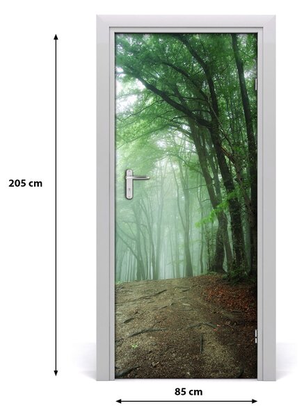 Fototapeta na dvere samolepiace hmla v lese 85x205 cm