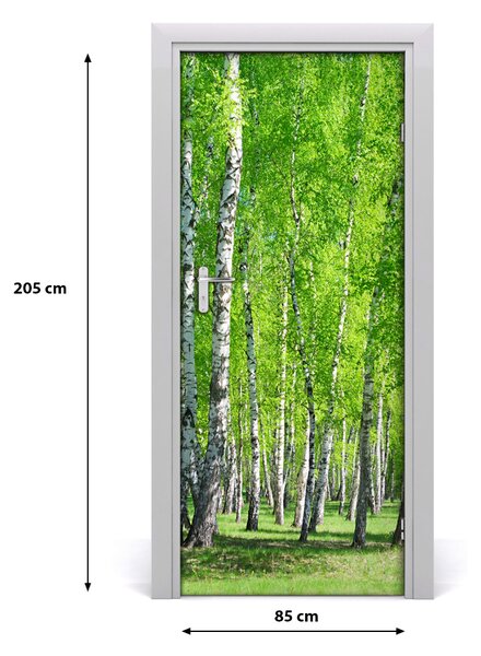 Fototapeta na dvere samolepiace Břízová les 85x205 cm