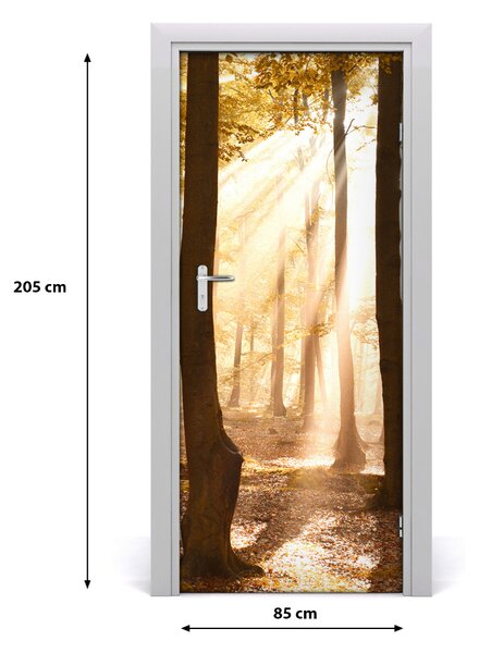Fototapeta na dvere samolepiace les jeseň 85x205 cm