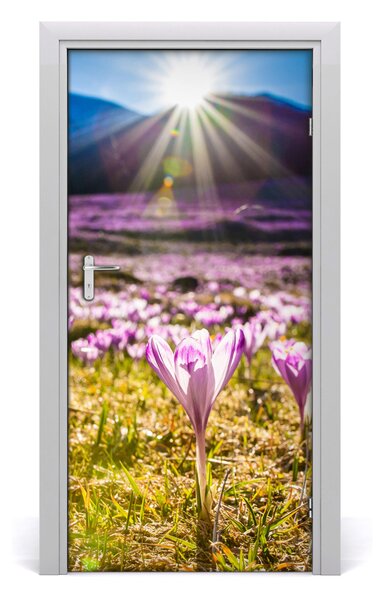 Fototapeta na dvere samolepiace Krókusy v horách 95x205 cm