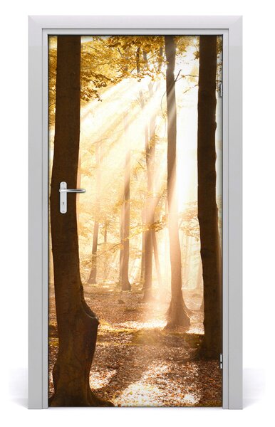 Fototapeta na dvere samolepiace les jeseň 95x205 cm