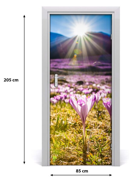 Fototapeta na dvere samolepiace Krókusy v horách 85x205 cm