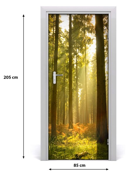 Fototapeta na dvere pekný les 85x205 cm