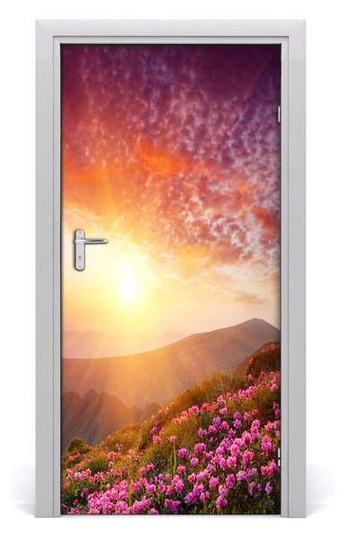 Fototapeta na dvere jar na horách 95x205 cm