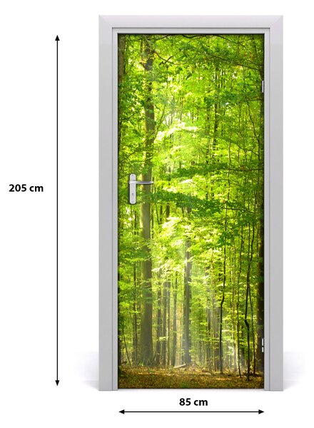 Fototapeta na dvere bukový les 85x205 cm