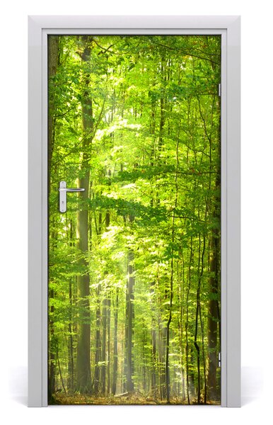 Fototapeta na dvere bukový les 95x205 cm