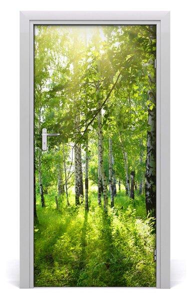 Fototapeta na dvere Břízová les 95x205 cm