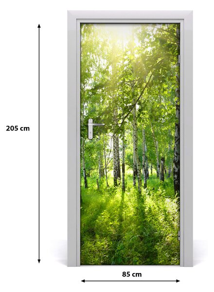 Fototapeta na dvere Břízová les 85x205 cm