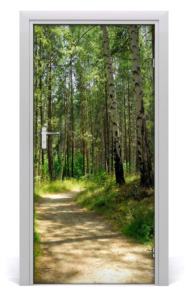 Fototapeta na dvere Břízová les 95x205 cm