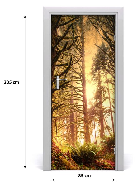 Fototapeta na dvere dažďový les 85x205 cm