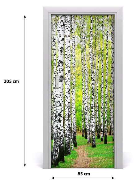 Fototapeta na dvere Břízová les 85x205 cm