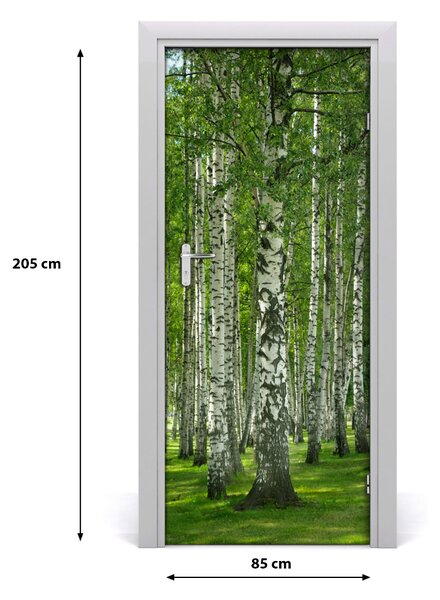 Fototapeta na dvere Břízová les 85x205 cm